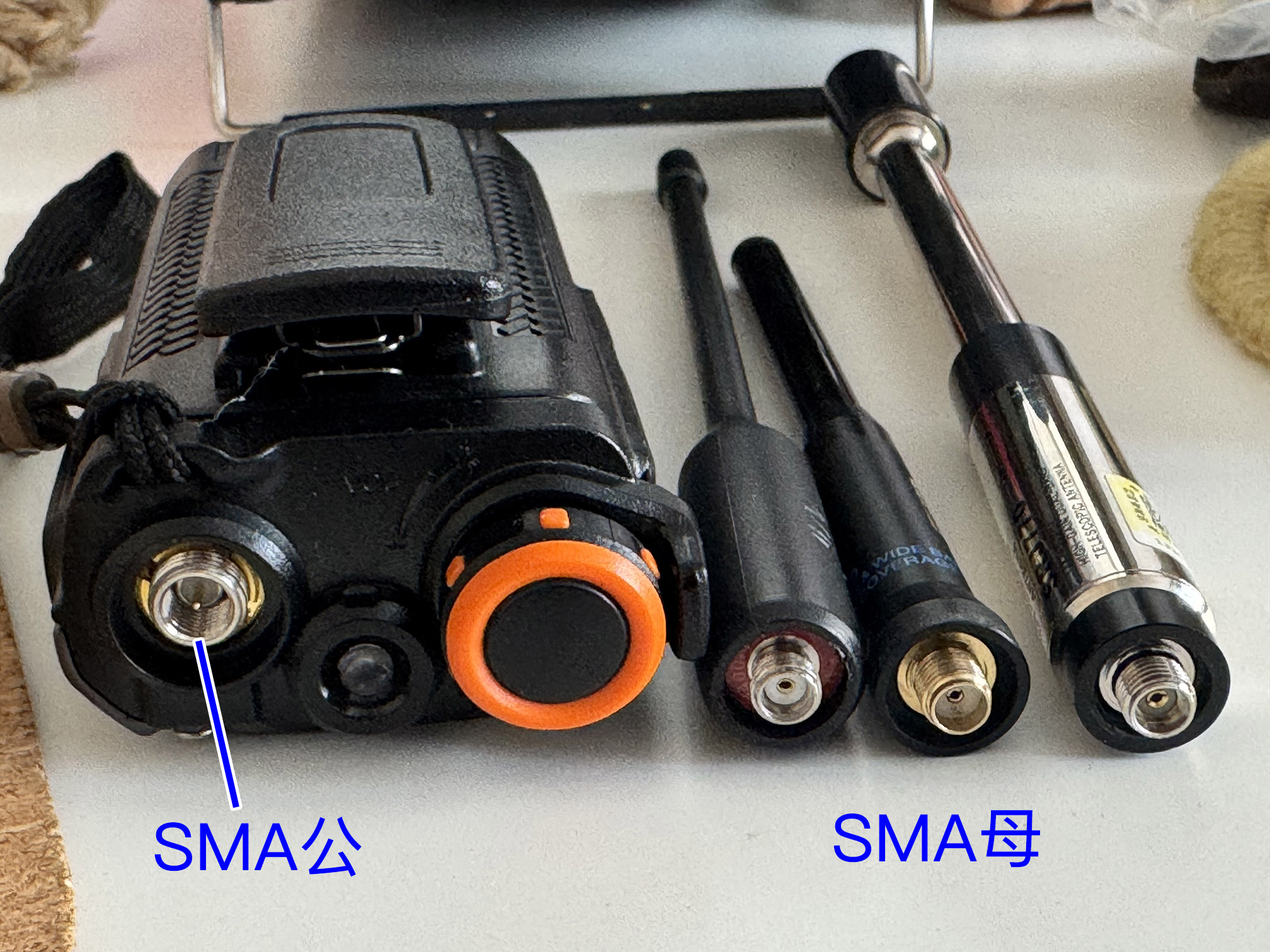 SMA公与SMA母
