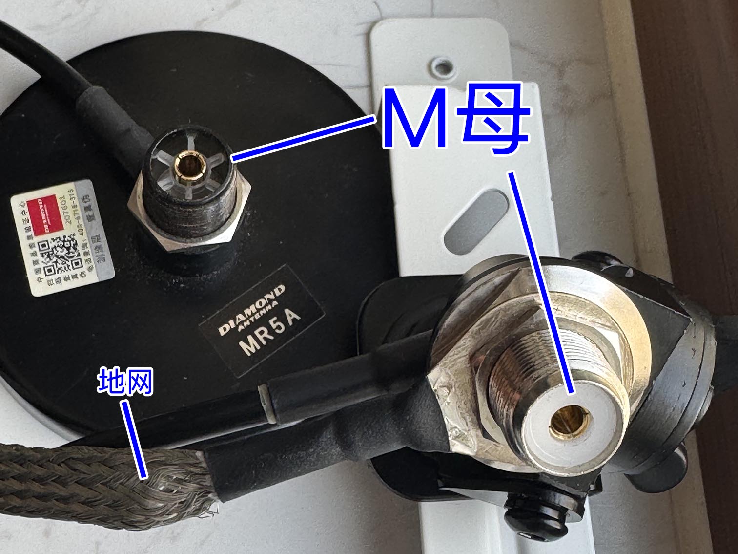 M母